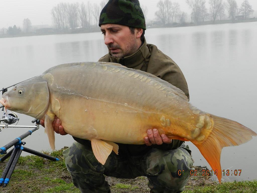 01/02/20014 - dscn1913.JPG